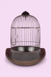 Mental Cage, 2020 (foto)