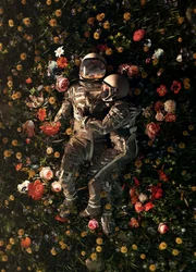 Det kosmiske par blomstrer
