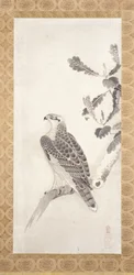 Hawk Perched On A Branch (blæk på papir)
