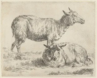 Staand en liggend schaap Schapen (serietitel) Dyr draget til livet og trykt i vand af stærk luft af Nicolai Berchems atelier og kunst (serietitel)
