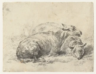 Twee Ligende Schapen får (serietitel) Dyr draget til livet og trykt i vand af stærk luft af Nicolai Berchems atelier og kunst (serietitel)