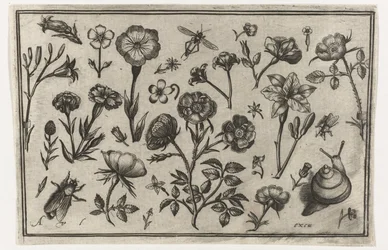 Blomster, en flue og en snegl Fugle, blomster, insekter etc. (serietitel)