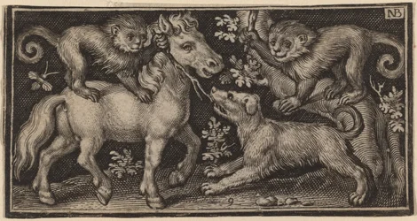 Hest med to aber og en hund