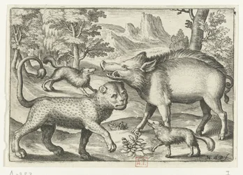 Leopard, vildsvin og to hunde Animalivm qvadrvpedvm (serietitel) Dyr i landskaber (serietitel)
