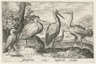 Stork, trane, hejre og skestork Fugle og insekter (serietitel)
