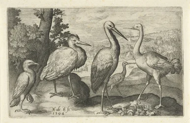 Stork, trane, hejre og skestork Fugle og insekter (serietitel)