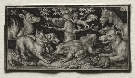 Tohovedet frø omgivet af dyr, 1594.