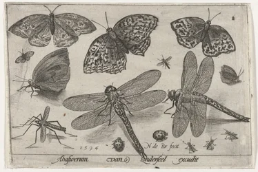 Sommerfugle og guldsmede Fugle og insekter (serietitel)