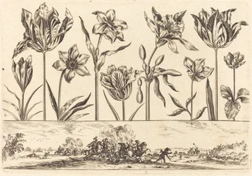 Blomstertryk nr.2