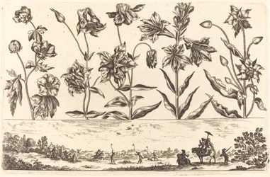 Blomstertryk nr.6