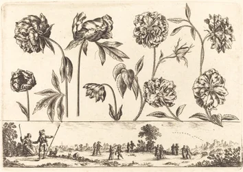 Blomsterprint nr. 7