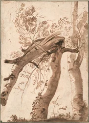 To sølvbirke, den forreste faldet, ca. 1629