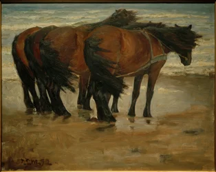 Fire heste. Kandestederne