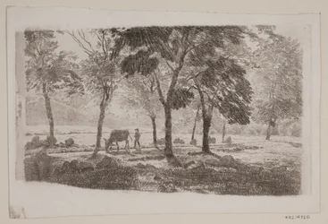 Alléen