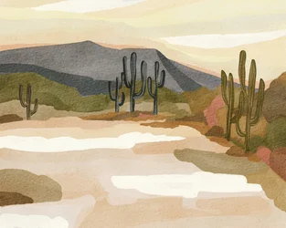 Saguaro-ørkenens ro