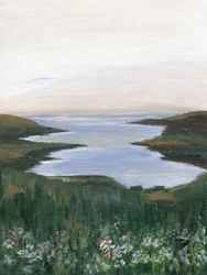 Udsigt over vilde blomster ved kysten