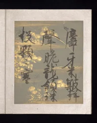 Album med japanske og kinesiske digte til at synge, begyndelsen af det 17. århundrede (album med 36 blade; hvert på guld-, sølv- eller farvet dekoreret papir)