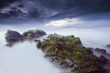 Et æterisk, mosbevokset havlandskab