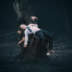 Surrealistisk skovsøvn