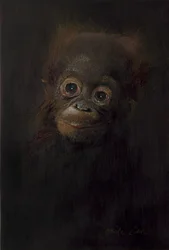 Baby orangutang 1, 2009 (akryl på træ)
