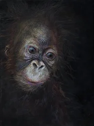 Baby orangutang 3, 2015 (akryl på træ)