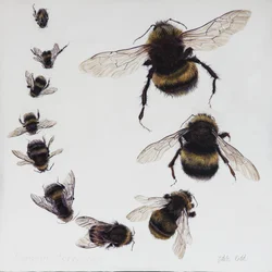 Bombus, 2015 (akryl på gessobehandlet træ)