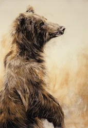 Grizzly Bear 2, 2002 (kulblyant, trækul og kridt)