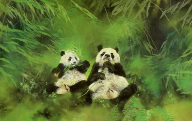 Pandaer