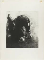 Fange Pegasus