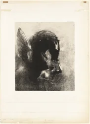 Fange Pegasus