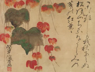 Autumn Ivy, efter 1732.