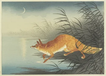 Fox by the Moonlit Water, 1930