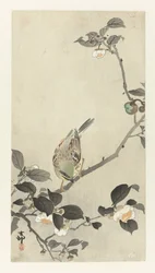 Bunting på blomstrende gren