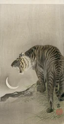 Brølende tiger og halvmåne