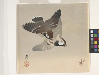 Sparrows Chasing Flying Insect (farvet træbloktryk)