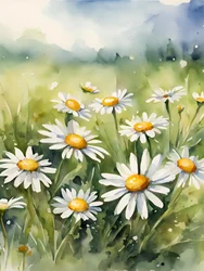 En blomstrende mark med tusindfryd