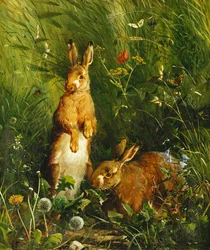 Harer, 1878