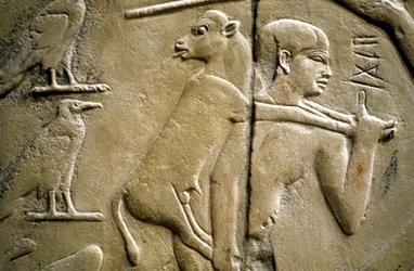 Detalje af et relief, der forestiller en mand, der bærer et offerdyr