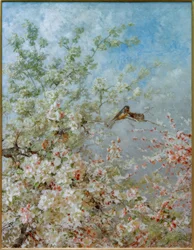 Kan