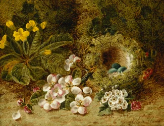 Æbleblomster, en Primrose- og Fuglerede på en Mosebred,