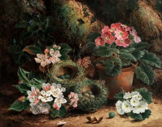 Æbleblomster og primula. Maleri af Oliver Clare (ca. 1853-1927) Privat samling.