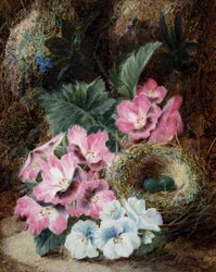 Stilleben med fuglerede og violer. Maleri af Oliver Clare (ca. 1853-1927) Privat samling.