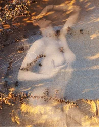 Nudo su sabbia, 2019 (digital mixed media)
