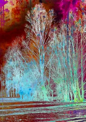 En surrealistisk, farverig skov