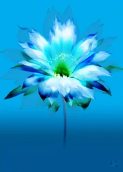 Livlig blå blomst