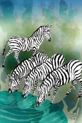 Zebraer ved vandhullet