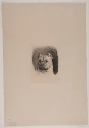 Et hundehoved