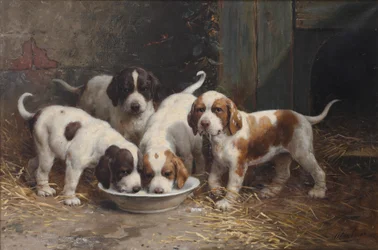Saint Bernard hvalpe drikker mælk (olie på lærred)