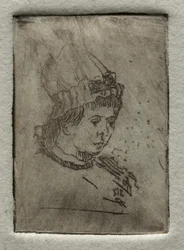 Lille hoved med pøbelhatte, 1878.