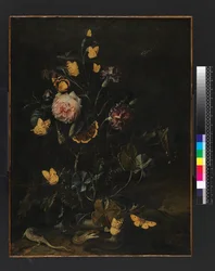 Blomster, insekter og krybdyr, 1673
